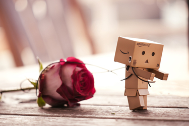 Vorlagen Danbo