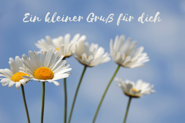 Vorlage Blumen