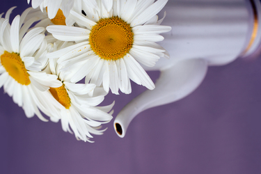 Vorlagen Blumen