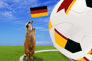 Vorlagen Fussball