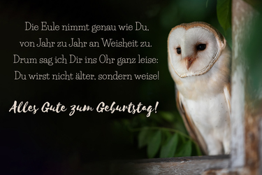 Vorlagen Geburtstag