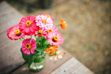 Vorlagen Blumen